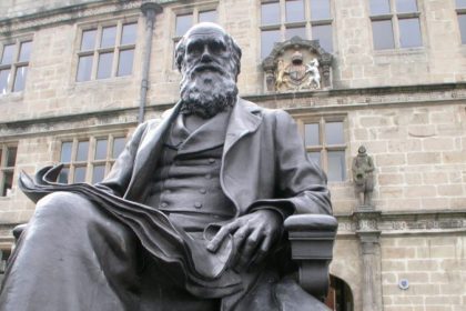 Immer mehr Lücken in der Evolutionstheorie?