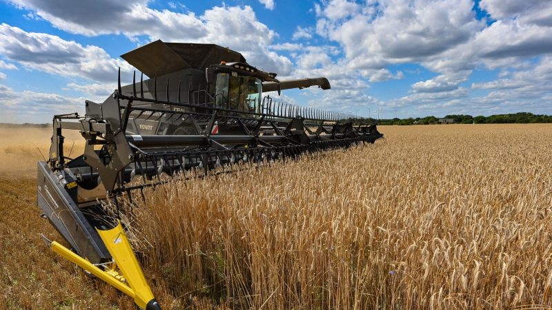 WEP: Millionen Tonnen Getreide in Ukraine blockiert
