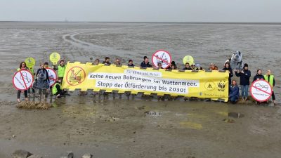 CDU will Klagerechte für Umweltverbände einschränken
