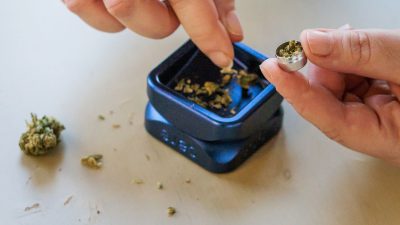 Holetschek besorgt über Cannabis-Pläne der Ampel