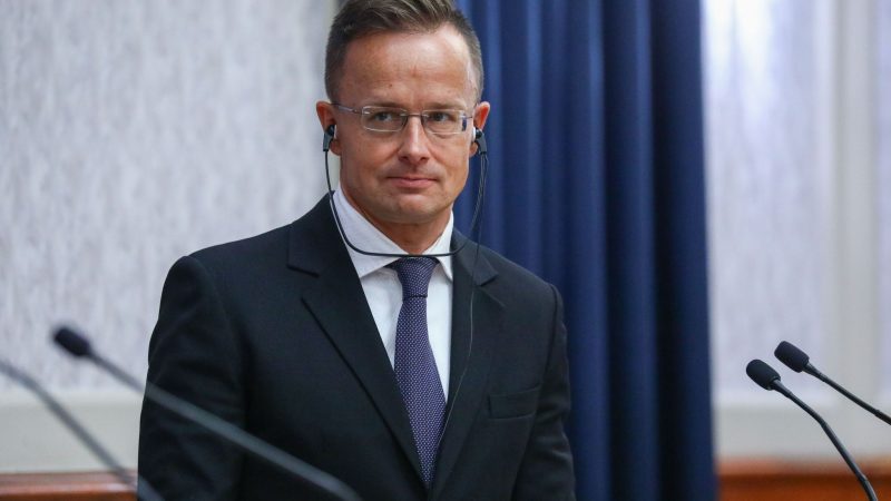 Interview mit Ungarns Außenminister von niederländischen Medien manipuliert