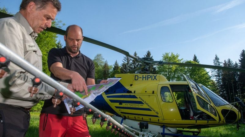 In Langenau an der Schwäbischen Alb bekämpft die Forstverwaltung den Eichenprozessionsspinner - einen Schädling - mit Pestiziden aus der Luft.