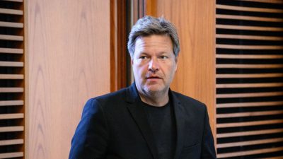 Habeck und Dröge fordern „neue europäische Handelsagenda“