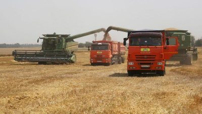 Russland will mehr Weizen exportieren, Ukraine kann nicht