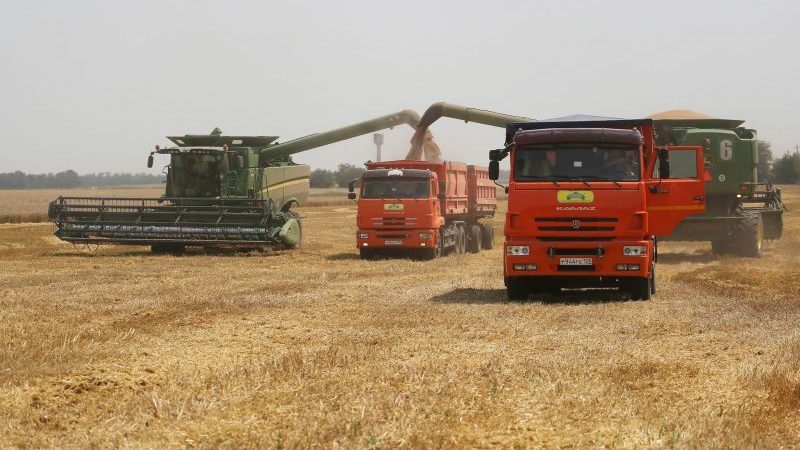 Landwirte ernten mit ihren Mähdreschern Weizen auf einem Weizenfeld in der Region Krasnodar im Südwesten Russlands.