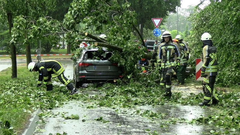 Feuerwehrleute beseitigen in Ahaus (NRW) einen durch Gewitterböen umgestürzten Baum von einem Auto.