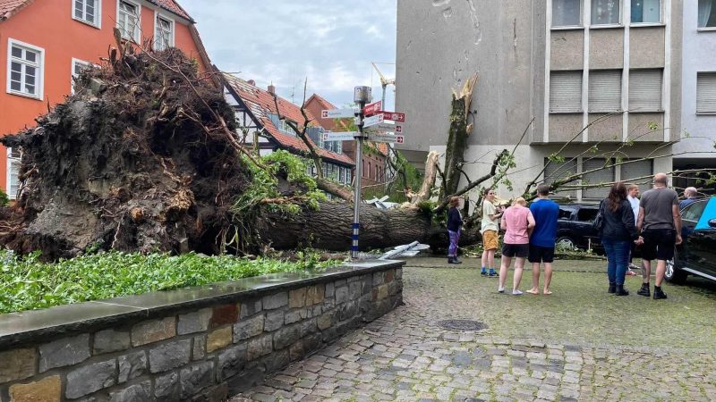 Ein Unwetter hat auch in Paderborn große Schäden angerichtet. «Im Zuge eines Gewitters hat eine Windhose am Freitagnachmittag eine Schneise der Verwüstung von West nach Ost mitten durch Paderborn in Richtung der östlichen Stadtteile gezogen», erklärte die Polizei.