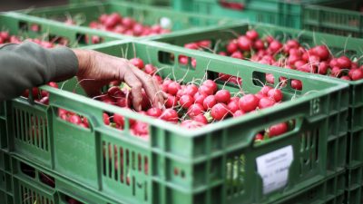 Obst und Gemüse: Özdemir plädiert für Abschaffung der Mehrwertsteuer