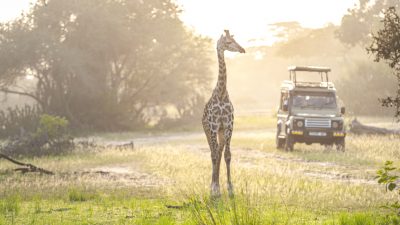 Jagdtourismus, Wilderei, die Massai und die königliche Familie der Emirate