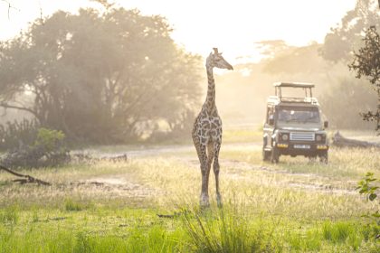 Jagdtourismus, Wilderei, die Massai und die königliche Familie der Emirate