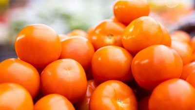 EuGH: Melonen und Tomaten aus Westsahara müssen entsprechend gekennzeichnet sein