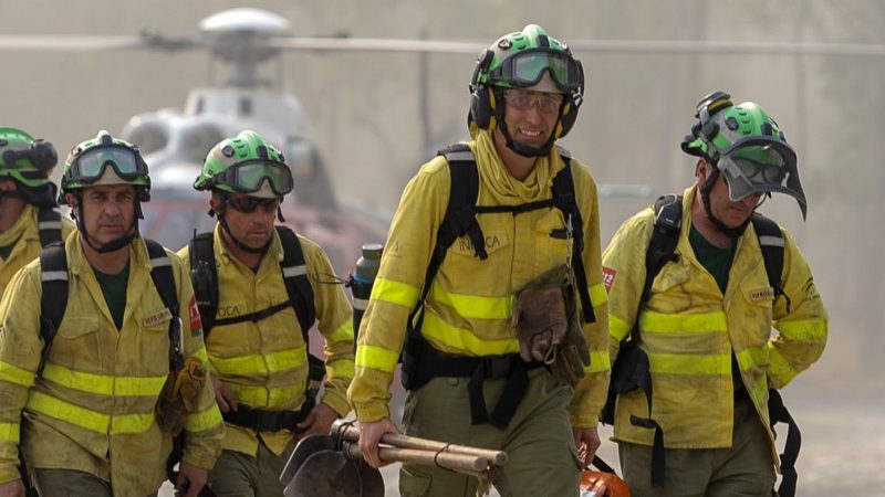 Gefährlicher Einsatz: Bei dem Waldbrand in der Touristenhochburg Costa del Sol wurden drei Feuerwehrleute verletzt.