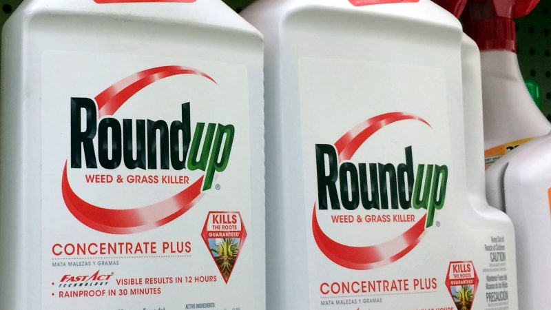 Ab 2023 wird im Unkrautvernichter Roundup von Bayer für den privaten Verbrauch kein Glyphosat mehr enthalten sein.