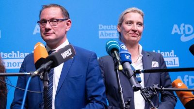 Umfrage: AfD in NRW bei 18 Prozent