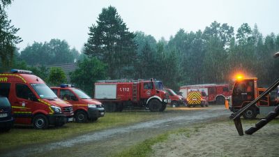 Regen dämmt Waldbrände ein