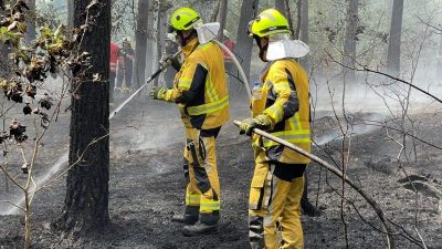 Neues altes Mittel: Gegenfeuer im Kiefernwald