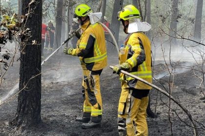 Neues altes Mittel: Gegenfeuer im Kiefernwald