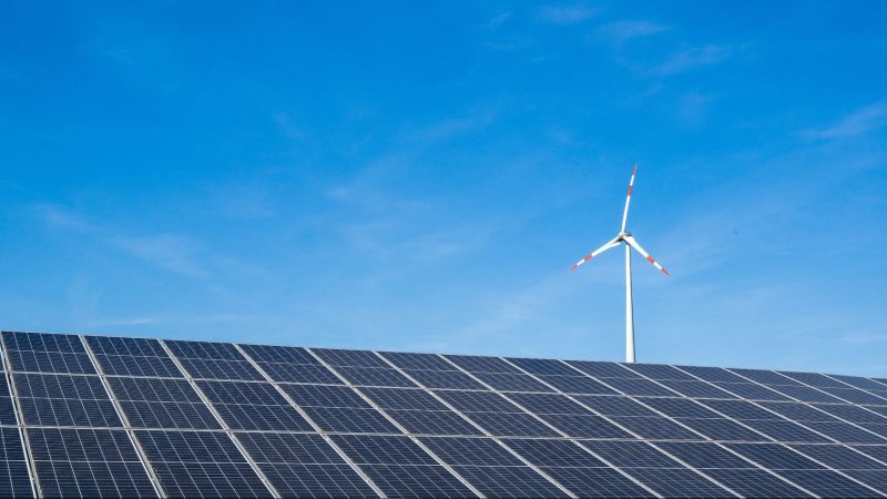 Ein Windrad hinter einem Solarfeld. Ab dem 1. Juli müssen Stromkunden die Förderung des Ökostroms nicht mehr über die Stromrechnung zahlen.
