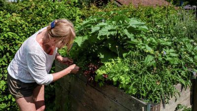 Der Garten als Glücksort: Gutes Gefühl wissenschaftlich bestätigt