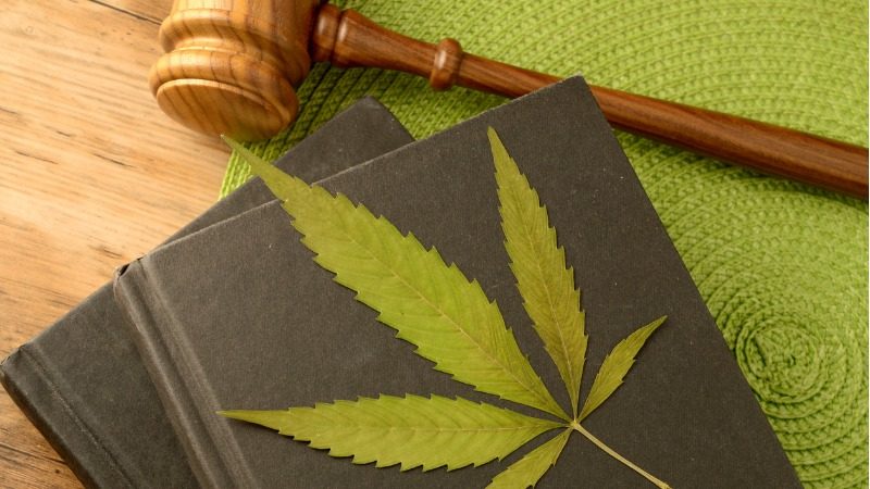 Debatte um Legalisierung von Marihuana in Deutschland