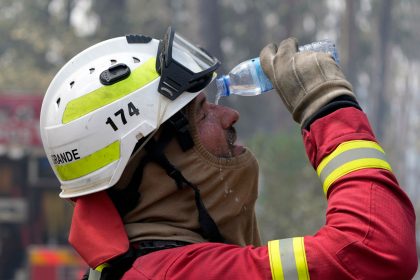 Waldbrände im Norden und Zentrum Portugals: Fast 2.000 Feuerwehrleute im Einsatz
