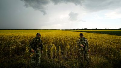 Getreideabkommen zwischen Russland und der Ukraine steht kurz bevor