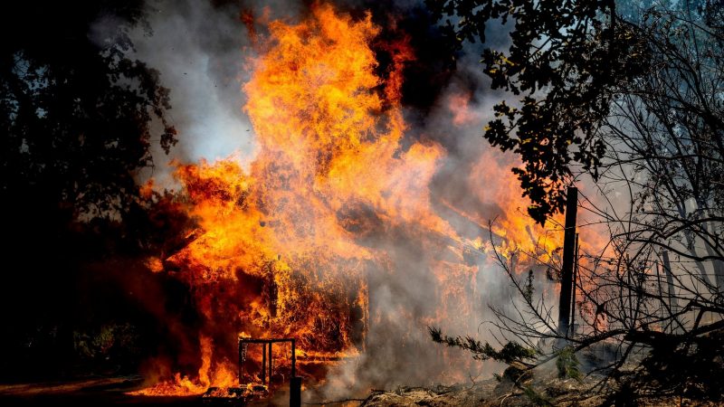 Die Flammen des Oak Fire fressen sich durch ein Haus.