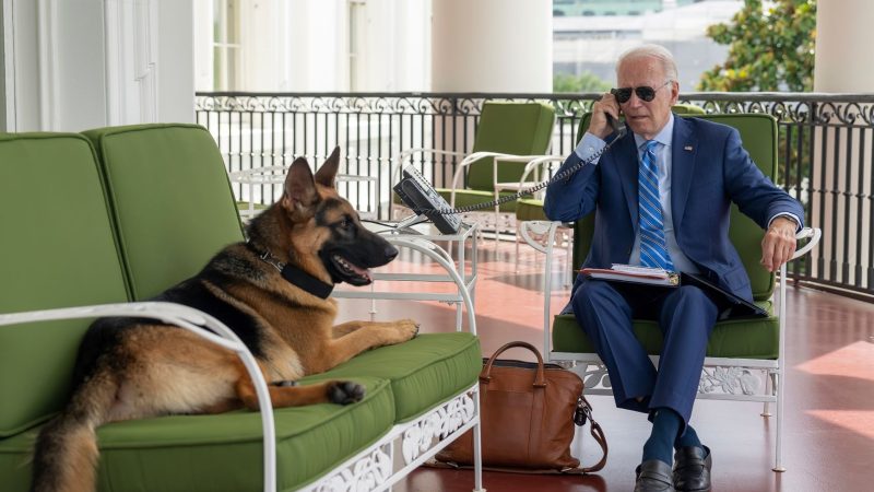 US-Präsident Joe Biden ist derzeit wegen einer Corona-Infektion in Isolation - und hat dabei tierische Gesellschaft. Hund «Commander» war ein Geschenk seines Bruders und wohnt seit Ende des vergangenen Jahres im Weißen Haus.