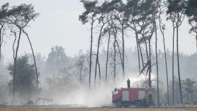 Lage in Waldbrand-Gebieten leicht entspannt – Ursache oftmals Brandstiftung