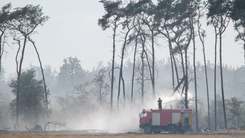 Feuerwehr löscht einen Waldbrand im Landkreis Elbe-Elster.