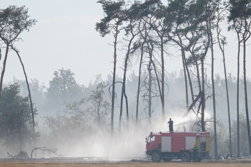 Feuerwehr löscht einen Waldbrand im Landkreis Elbe-Elster.