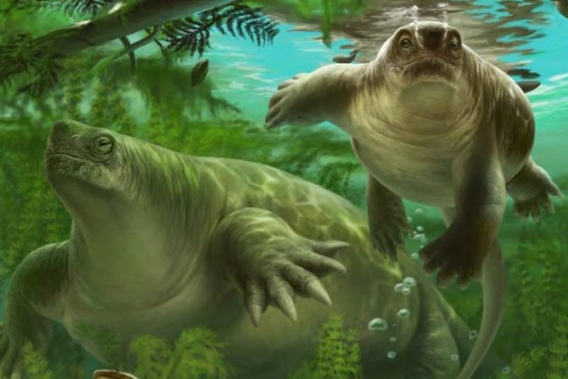 Säugetier-Urahn entdeckt: Pummelige Echse, die lebte wie ein Nilpferd