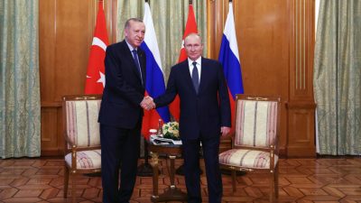 Ex-Regierungsberater: Westliche Befürchtungen über türkische Annäherung an Moskau übertrieben