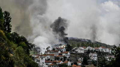 Rund 1.200 Feuerwehrleute im Einsatz: Waldbrand in Portugal flammt wieder auf
