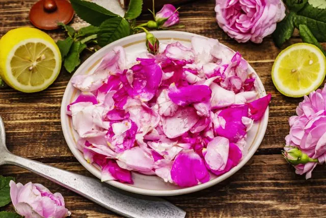 Essbare Blumen: Nr. 8 - Rose