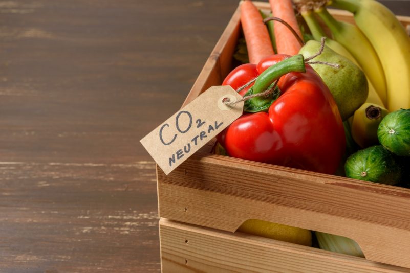 Ein CO₂-Budget für jeden?