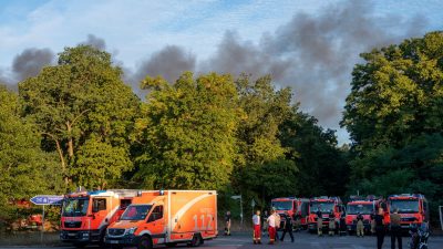 Großbrand im Berliner Grunewald breitet sich Richtung Südwesten aus – Avus bis Freitagmorgen gesperrt