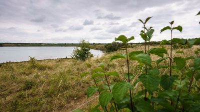 Die Leiche der 14-jährigen Ayleen wurde an einem kleinen See in einem Naturschutzgebiet der Wetterau nördlich von Frankfurt am Main gefunden.