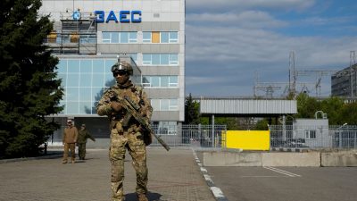 KKW in Saporischschja laut IAEA momentan keine Bedrohung