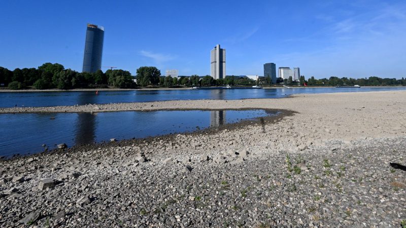 Der Rhein hat derzeit wenig Wasser - so wie hier in Bonn.