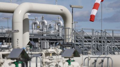 Wegen Gasknappheit: Europäische Stromversorger fordern Subventionen