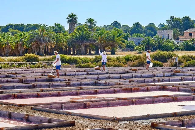 Salinas d´Es Trenc in Mallorca