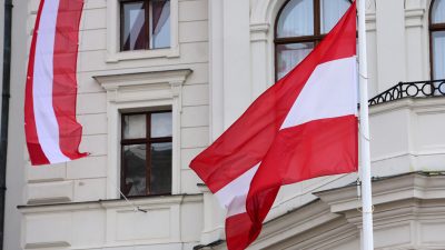 Österreich: Überraschungskandidat Staudinger schafft Unterschriften-Hürde