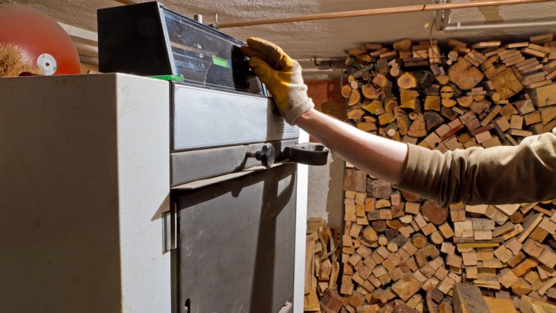 Holz: Vom Klimaretter zum Schädling