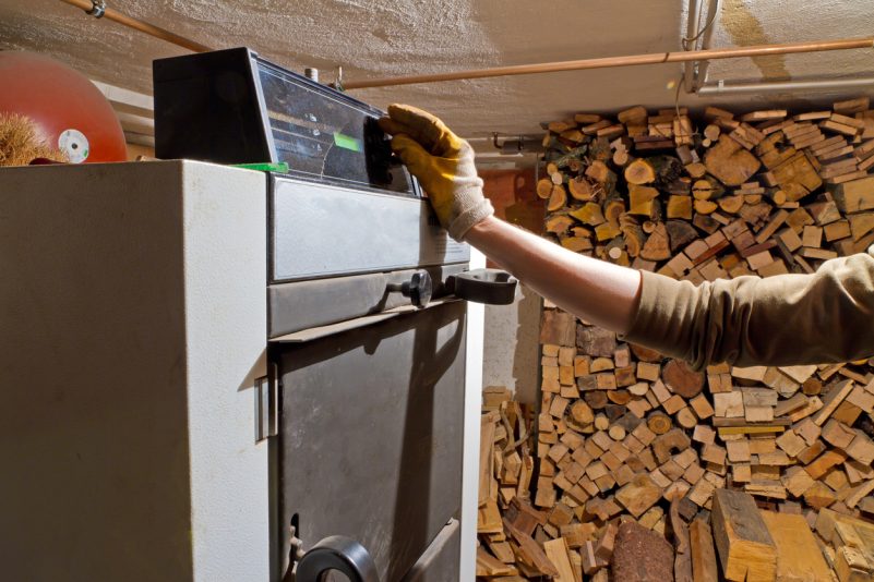 Holz: Vom Klimaretter zum Schädling