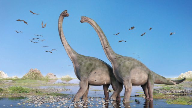 Größter Dinosaurier Europas in Portugal entdeckt