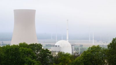 Ukraine will Atomstrom nach Deutschland liefern