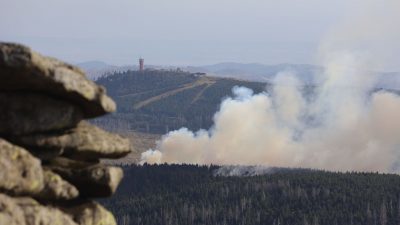 Erneut Waldbrand am Brocken – alle Wanderer evakuiert