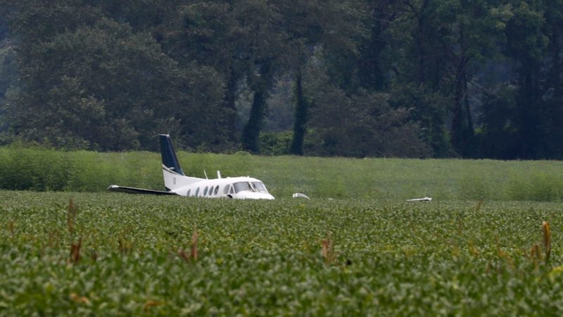 Nach einer Bruchlandung in der Nähe von Ripley im US-Bundesstaat Mississippi steht das gestohlene Flugzeug in einem Sojabohnenfeld.