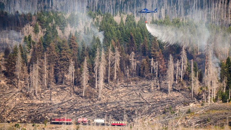 Katastrophenfall nach Waldbrand aufgehoben – Brocken wieder zugänglich